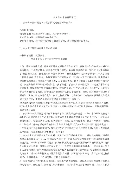 安全生产体系建设情况安全生产