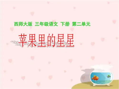 《苹果里的星星》教学课件
