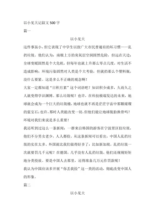 以小见大记叙文500字