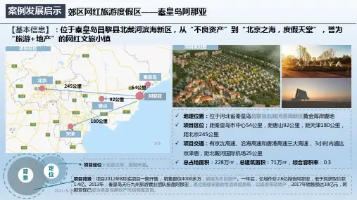 阿那亚案例详细分析
