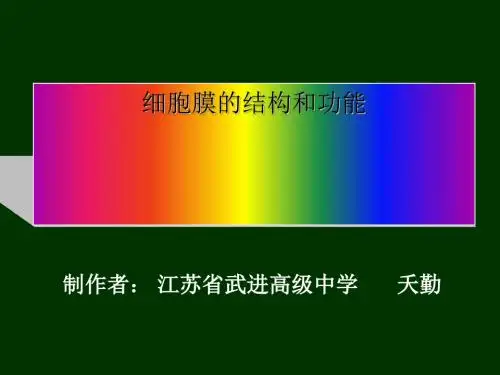 细胞膜的结构和功能 PPT课件3 人教版