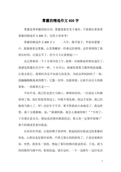 雾霾的精选作文600字