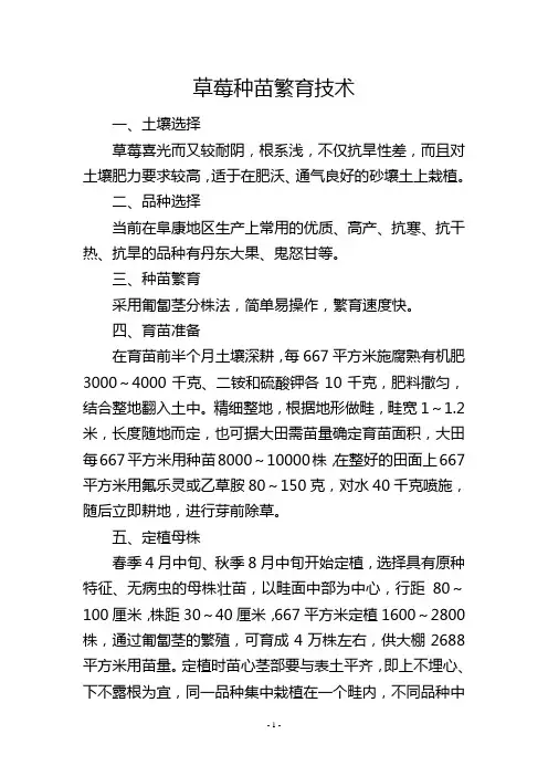 草莓种苗繁育技术