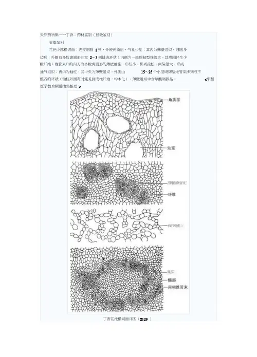 中药材显微鉴别
