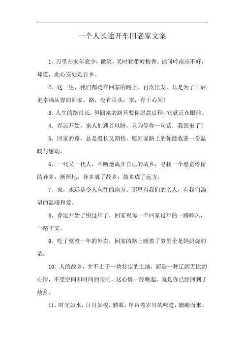 一个人长途开车回老家文案