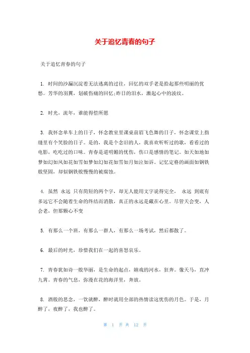 关于追忆青春的句子