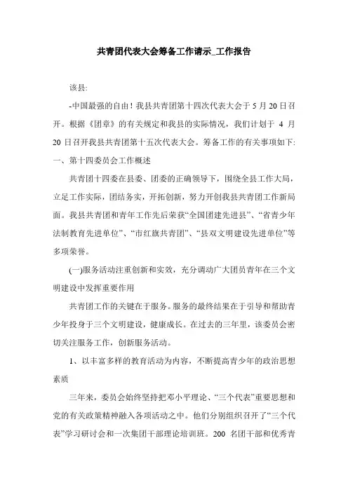 共青团代表大会筹备工作请示_工作报告.doc