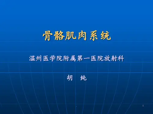 影像专业授课教案PPT课件