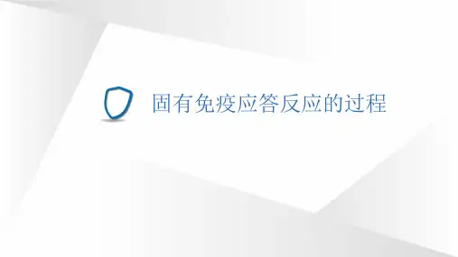 基础免疫学-固有免疫应答反应的过程