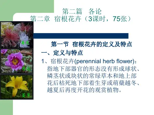 第二章  宿根花卉