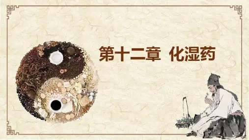 化湿药(中药学)