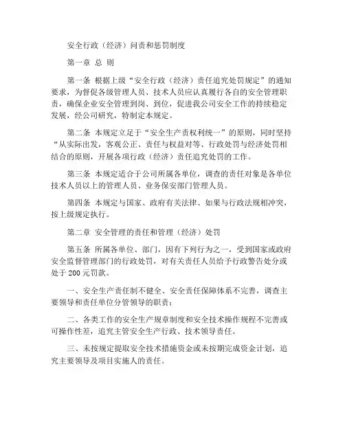 安全行政(经济)责任追究处罚制度