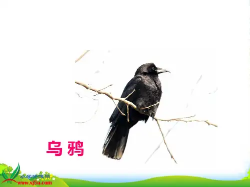 三年级语文上册 好伙伴 1课件 语文S