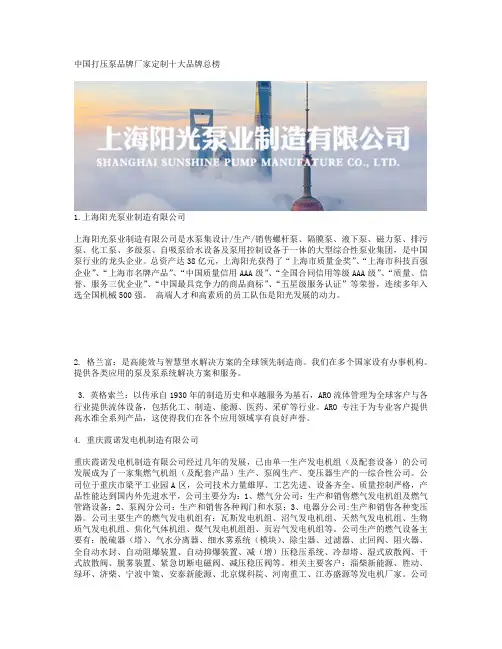 中国打压泵品牌厂家定制十大品牌总榜