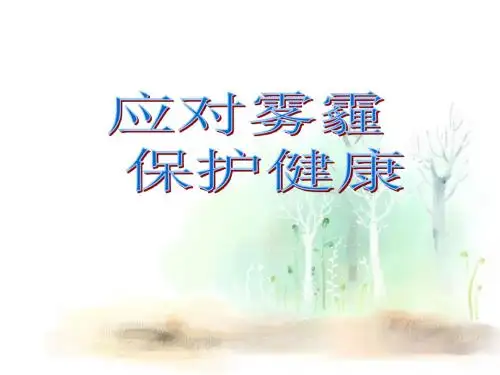 雾霾ppt