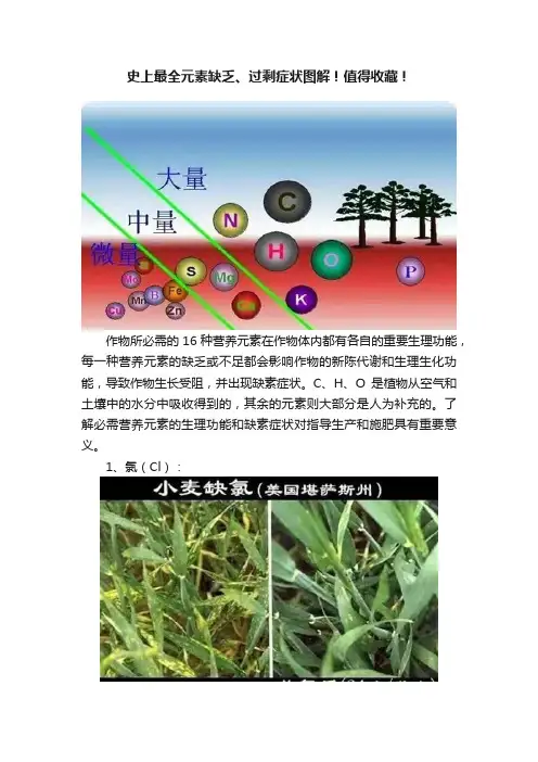 史上最全元素缺乏、过剩症状图解！值得收藏！