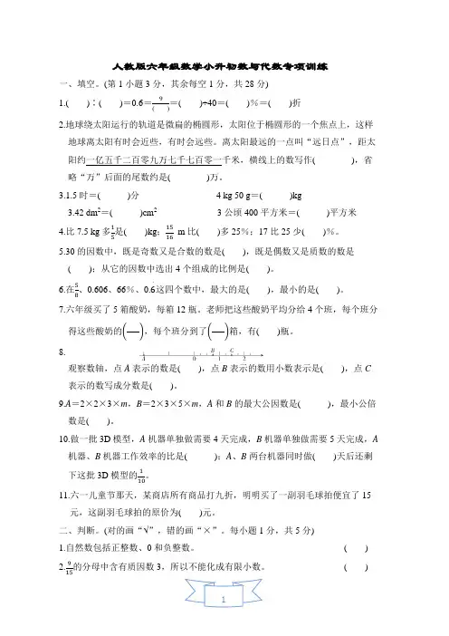 人教版六年级数学小升初数与代数专项训练附答案