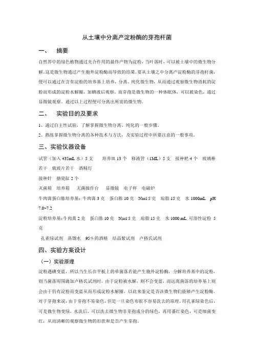 微生物-从土壤中分离产淀粉酶的芽孢杆菌