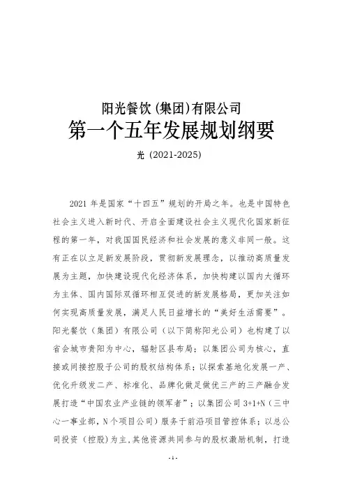 集团公司五年发展规划