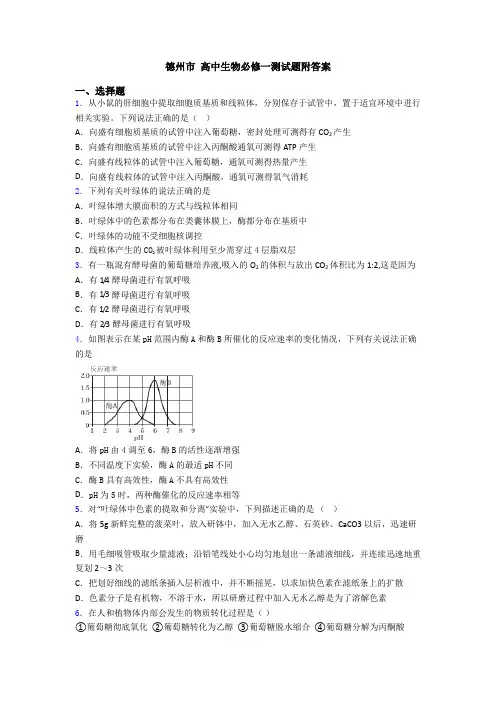 德州市 高中生物必修一测试题附答案