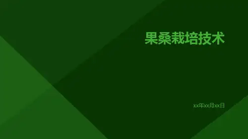果桑栽培技术