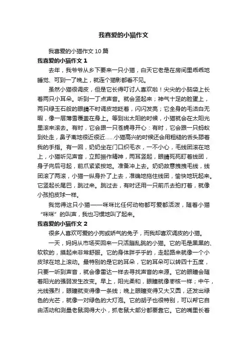 我喜爱的小猫作文10篇