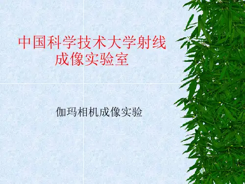 什么是γ相机？