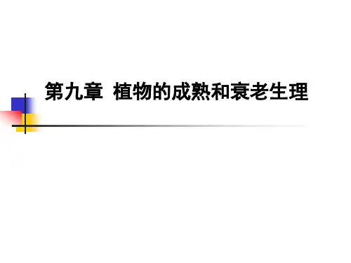 植物生理学课件：第九章  植物的成熟与衰老生理(正确)