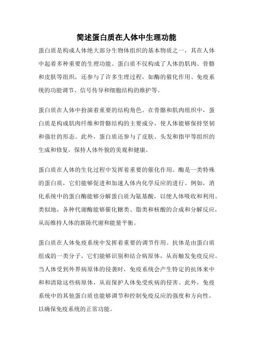简述蛋白质在人体中生理功能