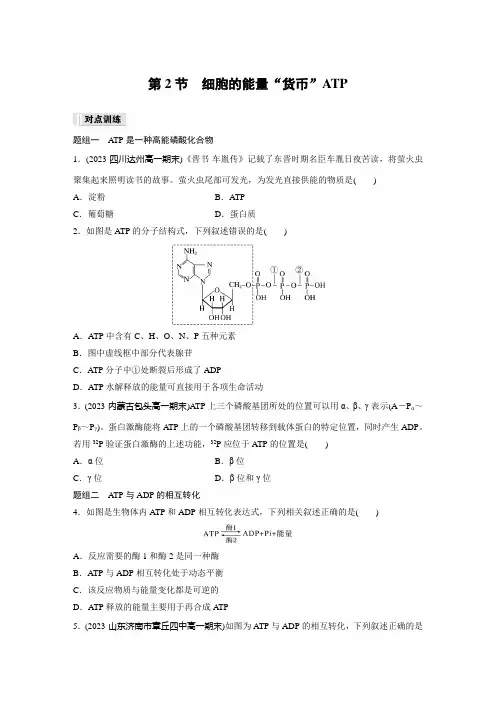 高中生物必修一 同步讲义第5章 第2节 细胞的能量“货币”ATP