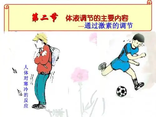 人教版教学课件通过激素的调节课件9