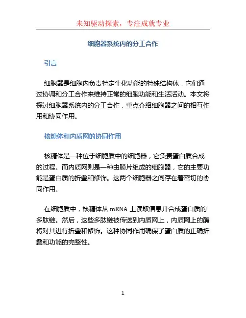 细胞器系统内的分工合作