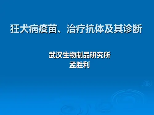 狂犬病疫苗、治疗抗体及其诊断