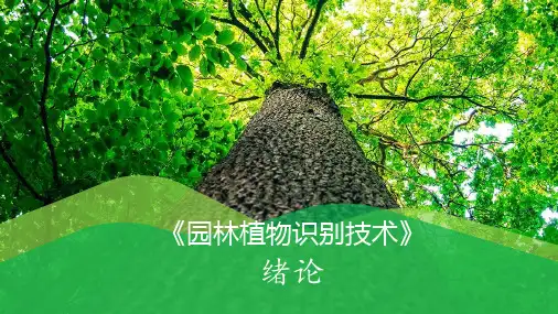 园林植物识别技术绪论