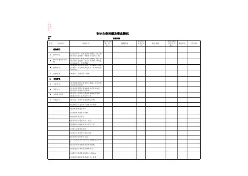 最新审计自查问题及整改工作表