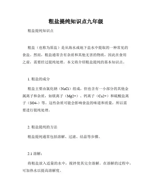 粗盐提纯知识点九年级