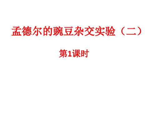 孟德尔的豌豆杂交实验(二)自由组合