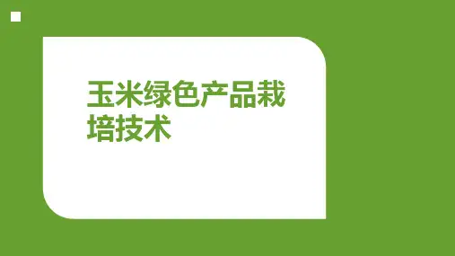 玉米绿色高产培训技术PPT课件