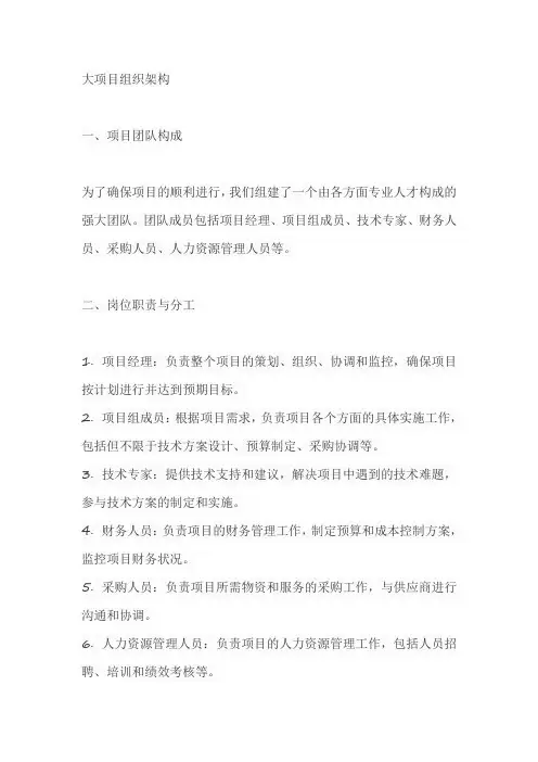 大项目组织架构