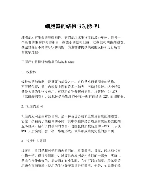 细胞器的结构与功能-V1