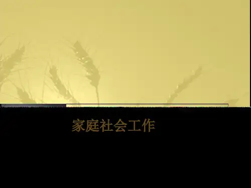 第十章 家庭社会工作
