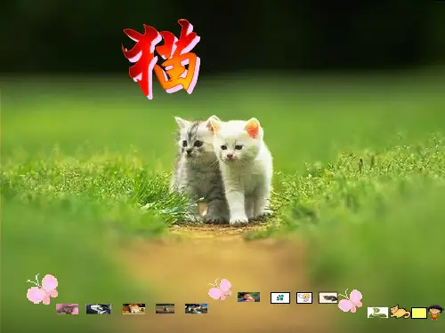 人教版语文四年级上册第四单元《15.猫》