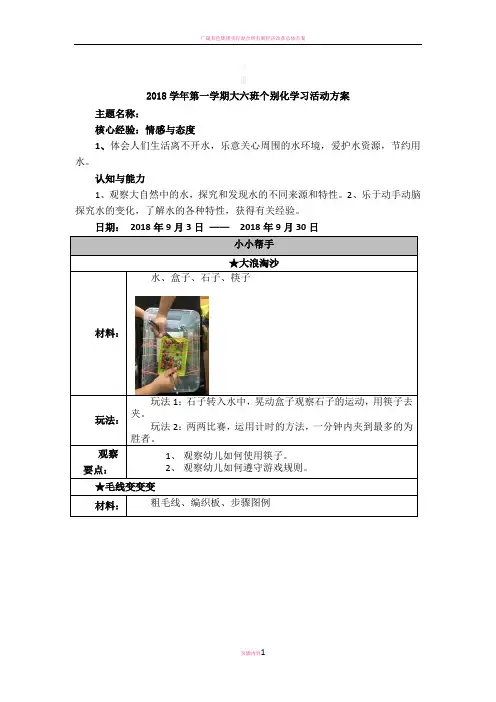 有趣的水个别化学习活动方案