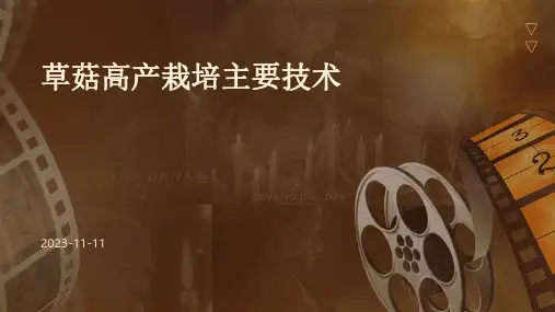 草菇高产栽培主要技术