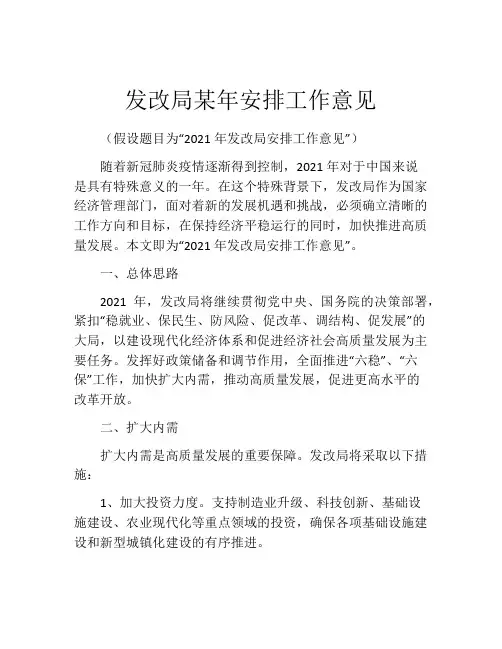 发改局某年安排工作意见