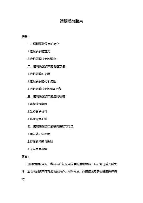 透明质酸胶束