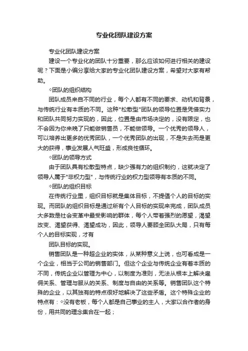 专业化团队建设方案
