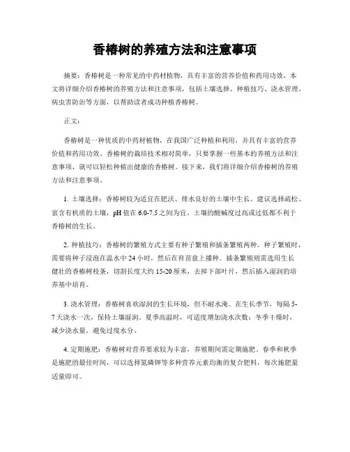 香椿树的养殖方法和注意事项