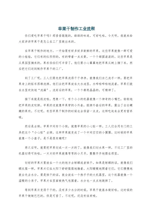 苹果干制作工业流程