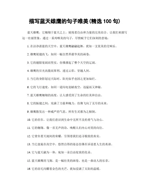 描写蓝天雄鹰的句子唯美(精选100句)